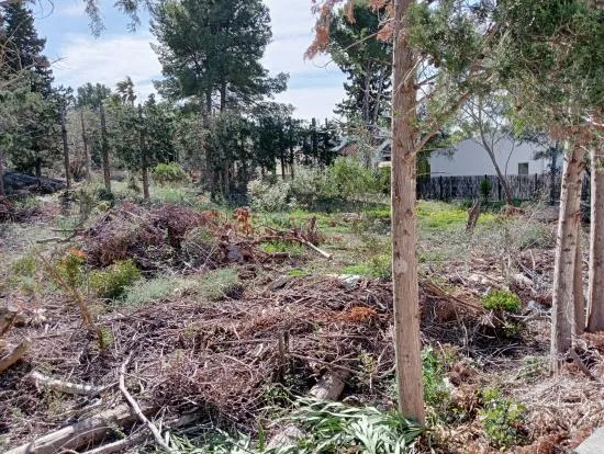 Fantastic plot in Bonaire of 953 m2, facing three streets — photo 3