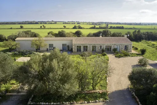 Campos, stylish finca with large pool in a quiet location near Es Trenc — photo 4