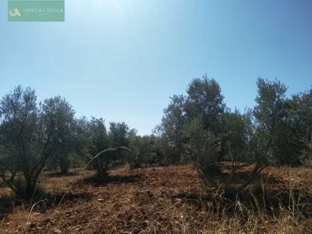 Rustic property - Selva (Afueras), Built Surface 1m², Plot Surface 7500m² — photo 1