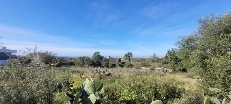 Land in Marratxí, Province of Balearic Islands — photo 5