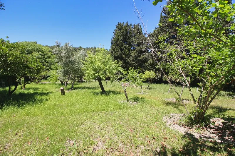 Charming Reformed Rustic Retreat Walking Distance to Pollensa Old Town — photo 7