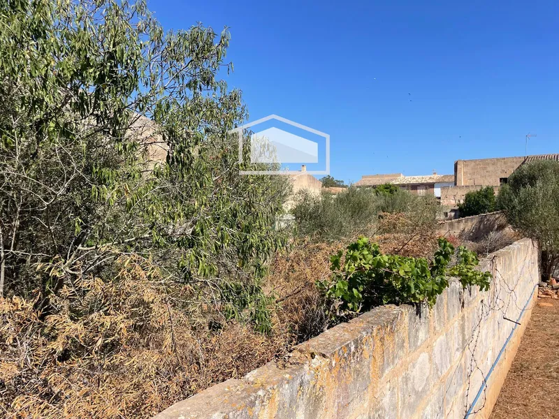Urban developable plot of 297 m² in Ses Salines — photo 3