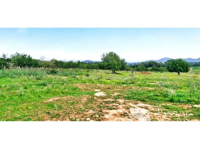 Rural Plot for Sale in S’Illot-Cala Morlanda — photo 5