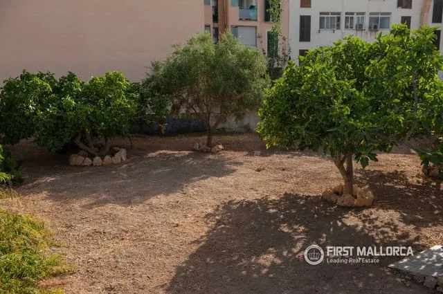 Villa for rent in Puerto de Andratx, Andratx, Mallorca — photo 6
