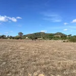 Plot near Son Servera with sea views UP009 — photo 12