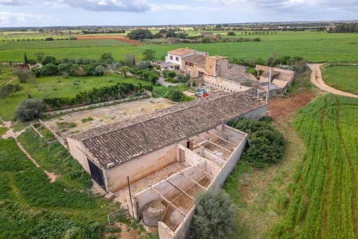 Campos: Authentic finca with agrotourism licence and approved renovation project — photo 4