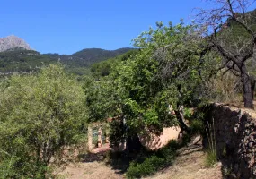 Charming Country House in Puigpunyent — photo 7