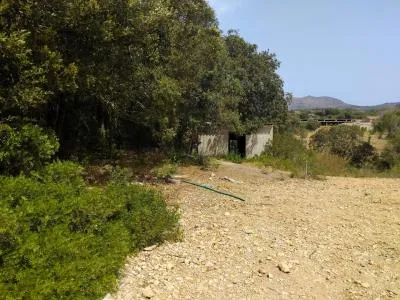 Rustic Land - Sant Llorenç des Cardassar, Plot Surface 3500m², Distance to the Sea 12 Km — photo 1