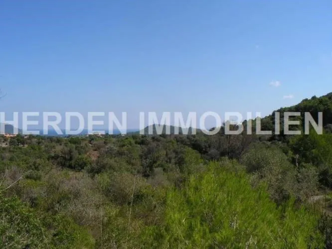 Plot of Land in Son Servera for Sale — photo 4