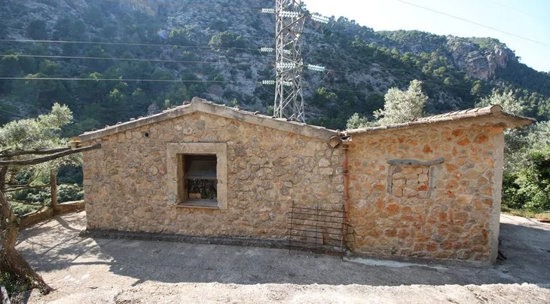 Olive grove in quiet area with semi-renovated little house — photo 6