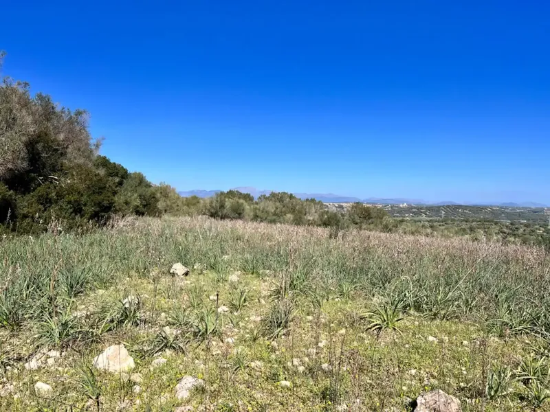 We are in Petra, in the middle of Pla de Mallorca, in a privileged setting with panoramic views, views of Ariany, Maria de la Salut — photo 2