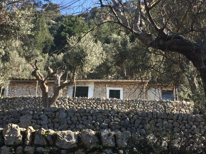 Beautiful olive grove with porch and car access in Fornalutx — photo 6