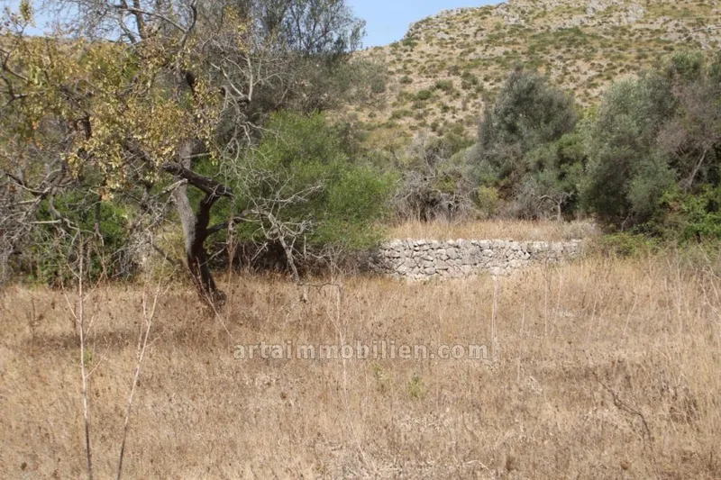 Finca Rustica in Capdepera — photo 1