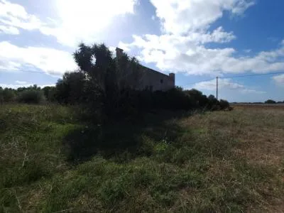 Rustic property - Muro, built surface 188 m², plot surface 6,847 m², 1 room, 1 bathroom, distance to the... — photo 5