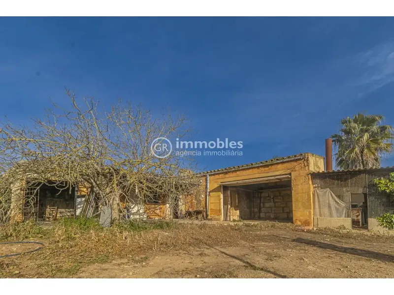 Rustic estate for sale of 14,186 m² with main agricultural use, located in a quiet and natural environment, less than 1 km from Muro, in direction — photo 5