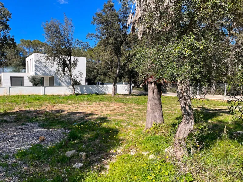 Plot of 1,100 m2 in Crestatx for a single-family home — photo 8