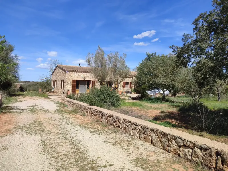 Rustic estate for sale in the municipality of Manacor, Ribera area, between Vilafranca de Bonany and Felanitx, with a total of approximately 7,281 m2. — photo 1