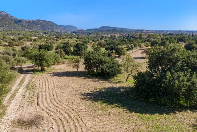 Country plot for sale ideal for building a family home in Moscari, Mallorca — photo 10