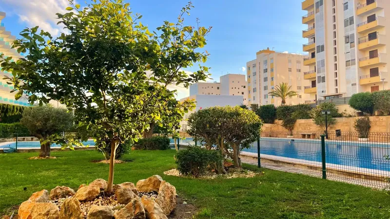 Studio with terrace and pool in Portals Nous, steps from the sea and Portals Port — photo 6