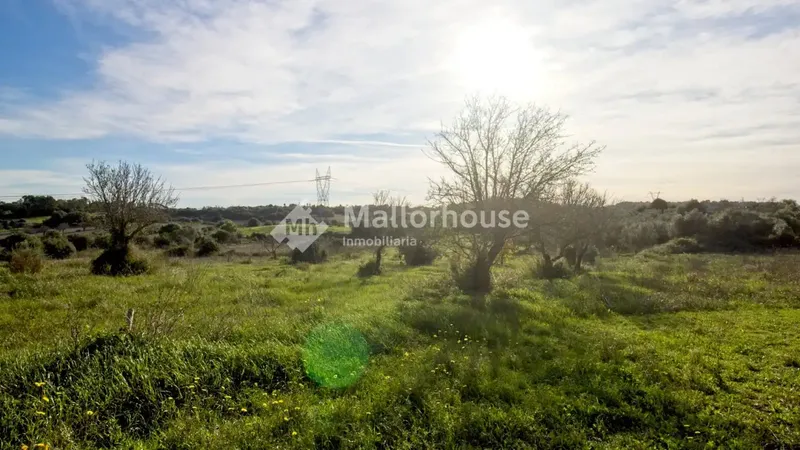 Beautiful plot of 14,033 m2 a few meters from the town of Muro, with clear views and native vegetation of the islands. Easy access by — photo 7