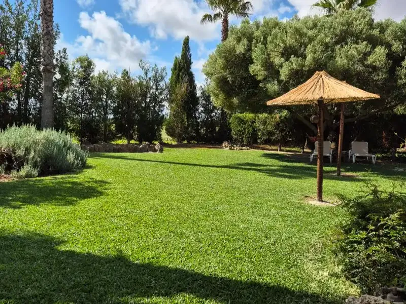 Se alquila finca rústica con jardín, terrazas, piscina y terreno en el norte de Mallorca. — photo 3