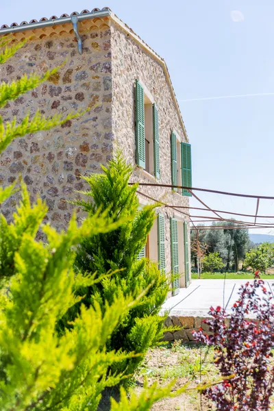 Rustic finca between Santa Maria and Alaró with views of the Tramuntana — photo 7
