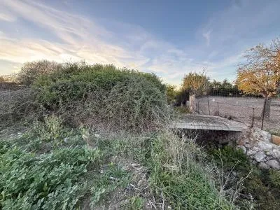 Rural Land - Sant Joan, Plot Surface 2.7892m² — photo 2