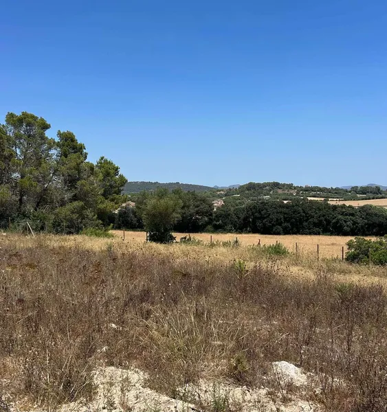 Beautiful building plot near Manacor — photo 6