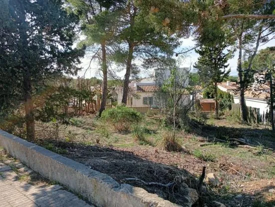 Plot in Bonaire of 530 m2 facing two streets — photo 1