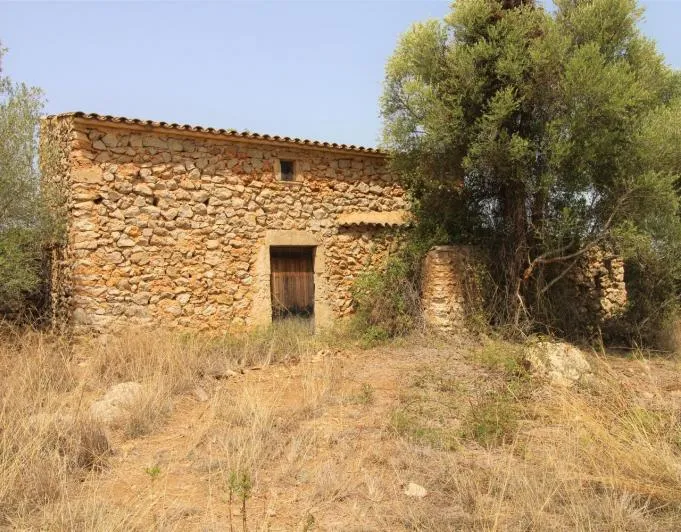 Beautiful rustic finca near the village of Arta — photo 3