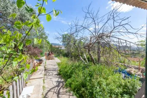 Detached house — photo 7