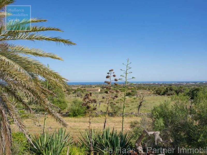 Son Carrió Finca with distant sea views and a small casita — photo 3