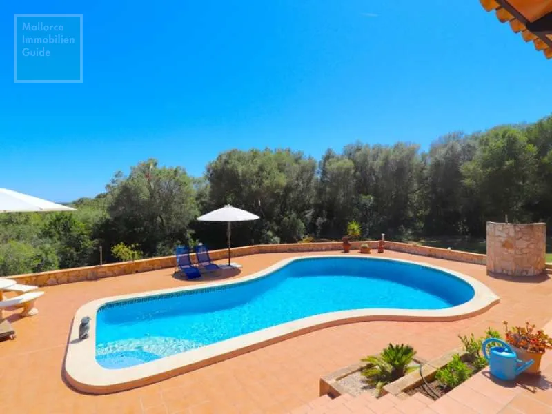 Son Carrio – Finca with a swimming pool and underground car — photo 4