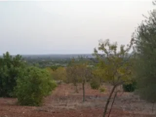 Fantastic building plot with panoramic views to Cabrera! Terreno — photo 5