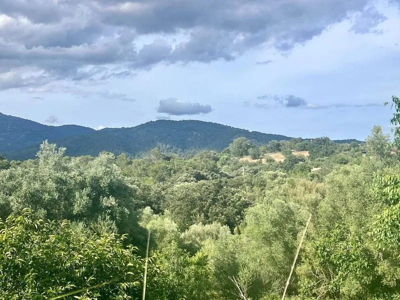 Land in Campanet, Province of Balearic Islands — photo 3