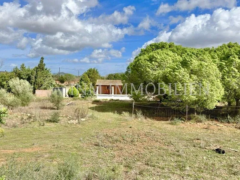 19,700 m² finca with 7 rooms, 3 bathrooms and pool for sale — photo 5
