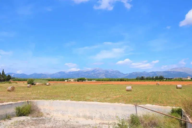 Rustic finca with wonderful views of the Serra de Tramuntana in the municipality of Llubí — photo 8