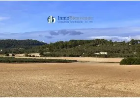 Rustic Finca in Predominant Position — photo 1