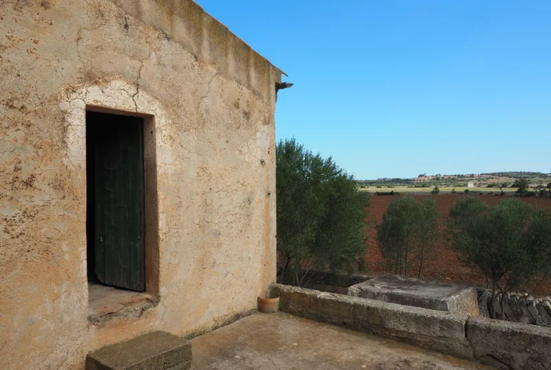 Rustic finca to renovate in San Lorenzo — photo 9