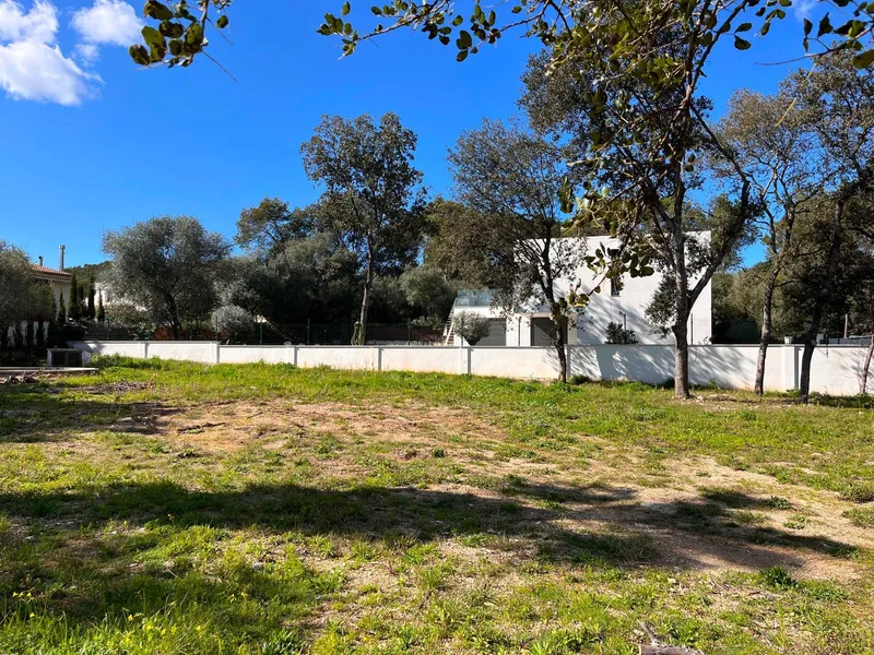 Plot of 1,100 m2 in Crestatx for a single-family home — photo 5
