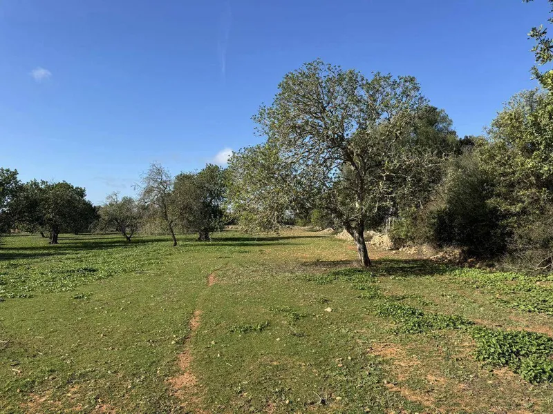 Exclusive building plot just a few minutes from Cas Conc... — photo 3