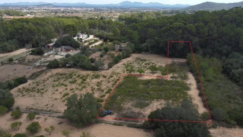 Rustic plot of 2,752 m² with fruit trees and wooded area — photo 1