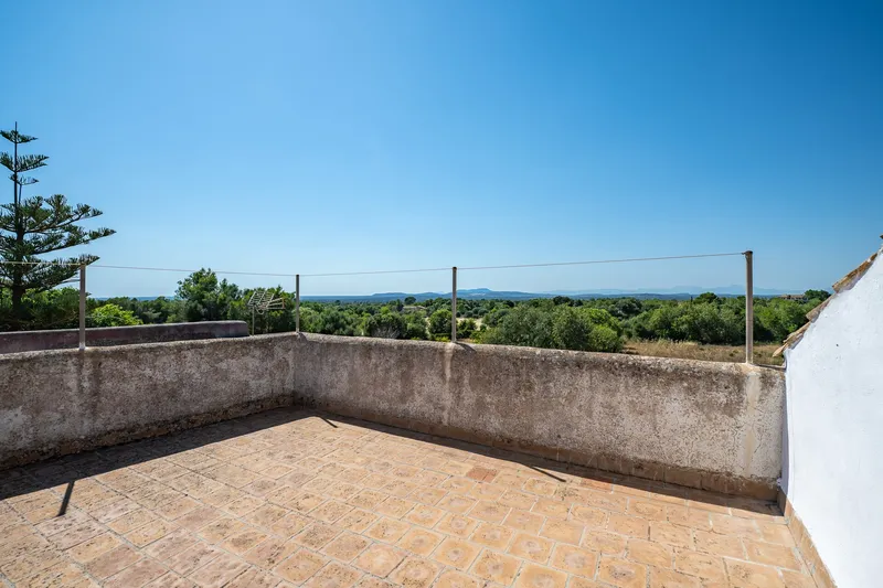 Charming little finca in Son Barceló - Felanitx — photo 11
