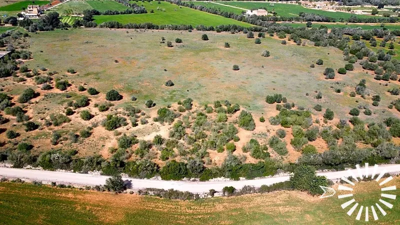 Country Estate for sale in Campos of 62000 m2 — photo 5