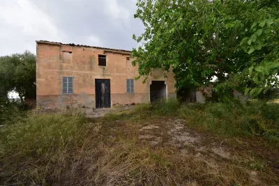 Finca in Manacor — photo 5