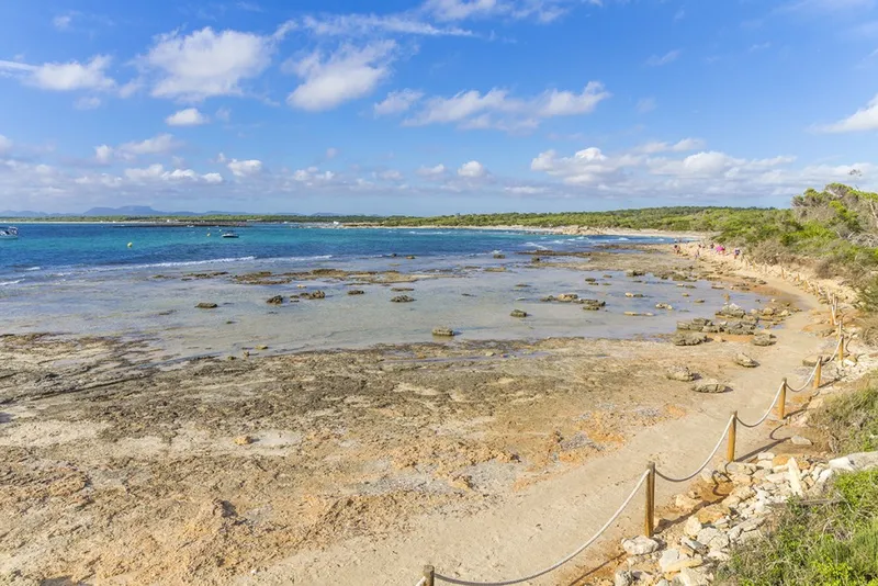 Ses Salines prestigious area house for sale — photo 11