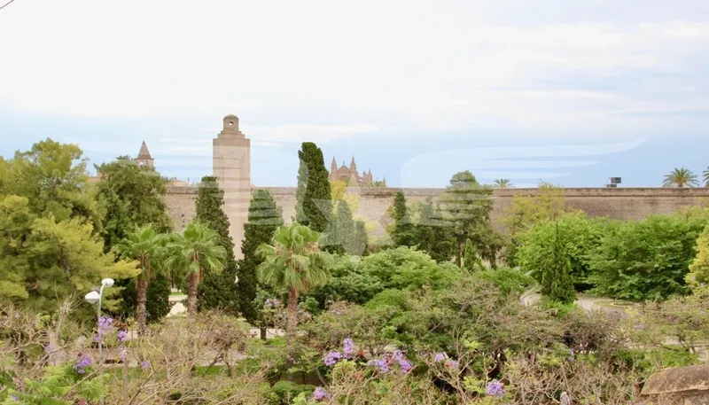 Projected duplex penthouse in Santa Catalina — photo 12