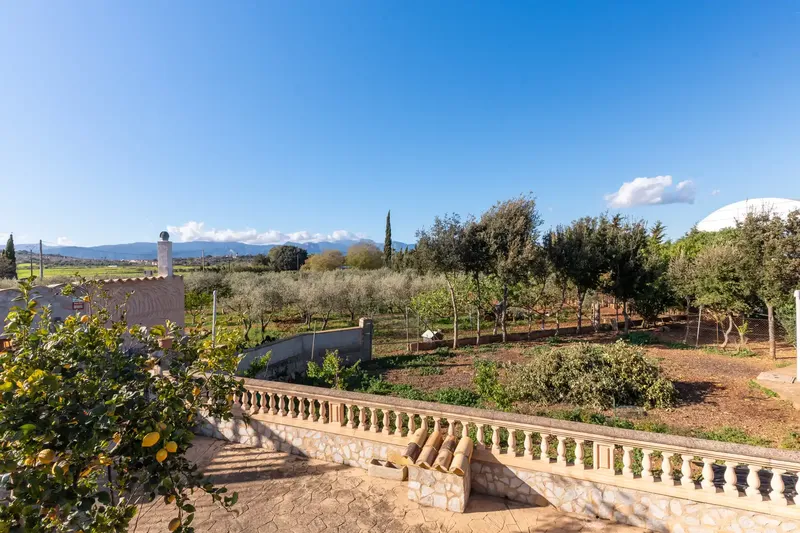 Rustic finca with pool, views and own olive oil production in Santa Eugènia — photo 9