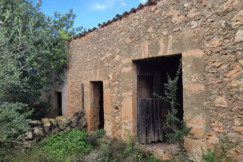 Land in Costitx, Mallorca — photo 4