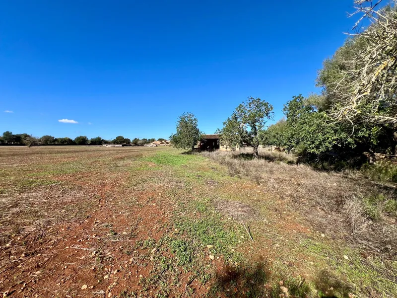 Spacious Plot in Campos with Project and Foundations Completed — photo 10
